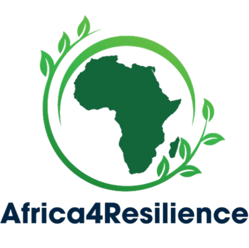 洋書 StrategiesforBuildingResilience inAfrica Home - Africa4Resilience